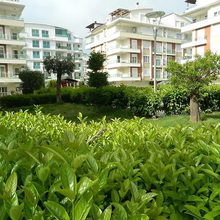Kinaci Antalya